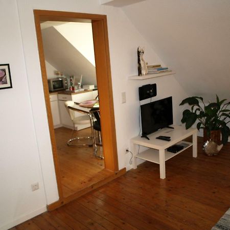 Ferienwohnung Klatschmohn スパイヤー エクステリア 写真