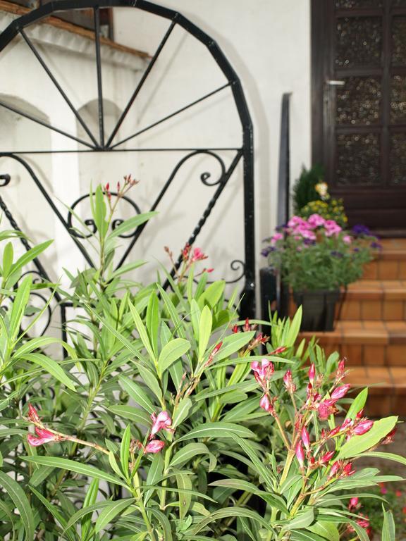 Ferienwohnung Klatschmohn スパイヤー エクステリア 写真